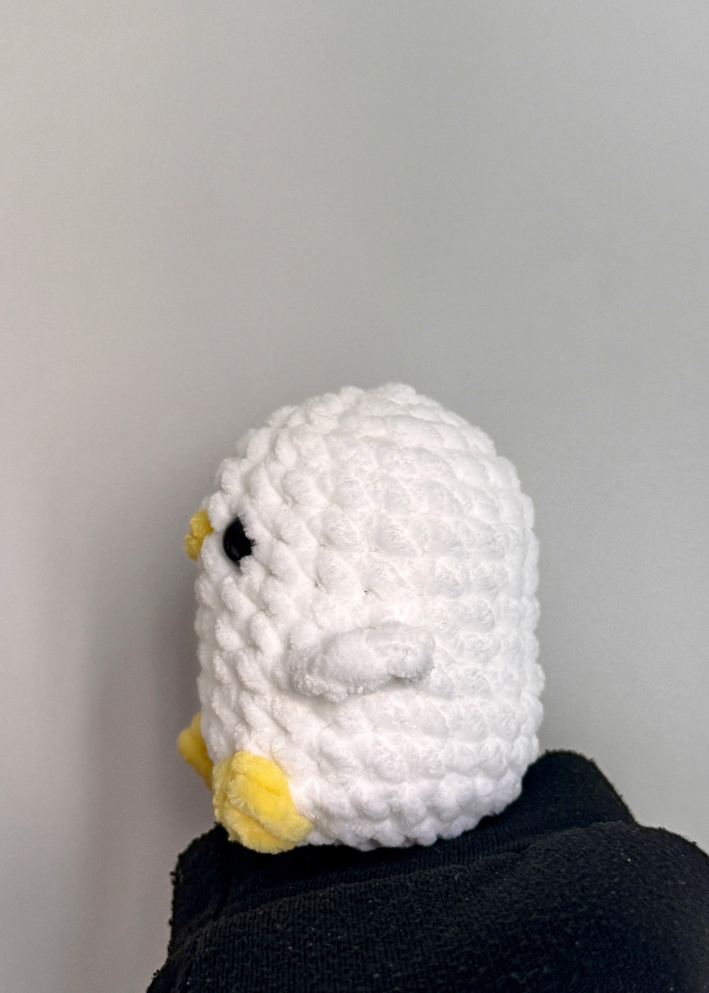 Baby duck🐥🌻